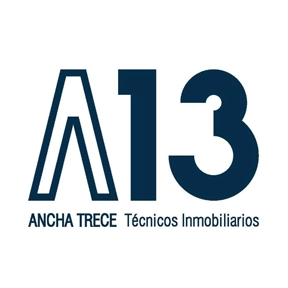 logo-ancha13