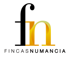 logo-Fincas Numancia